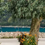 Hotel Akroyiali Vasiliki