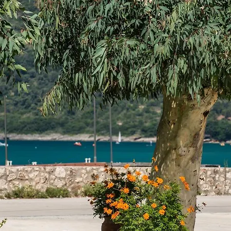 Szálloda Akroyiali Vaszilikí