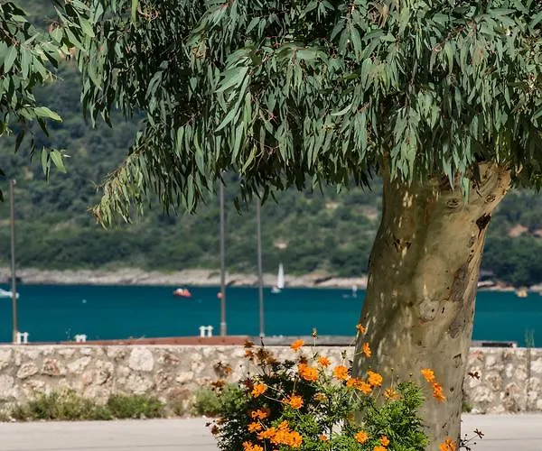 Hotel Akroyiali Vasiliki